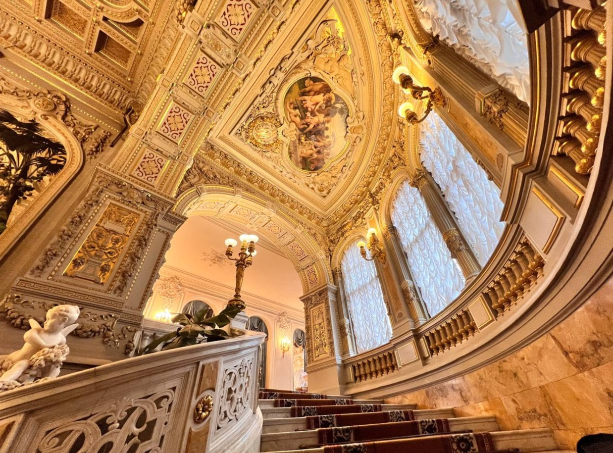 Экскурсия в дом Ученых (Владимирский дворец) с 30 октября по 13 января