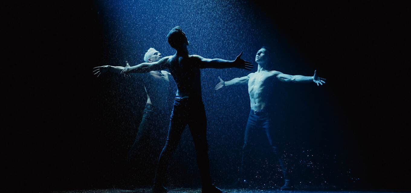 Шоу под дождём V. Признание в любви