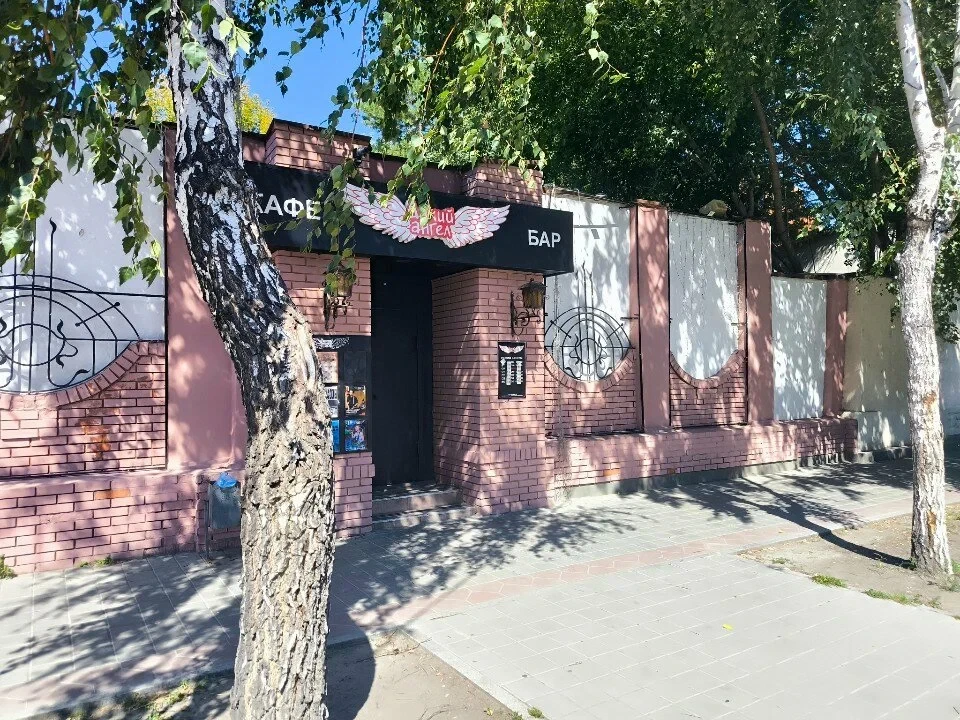 Дикий Ангел