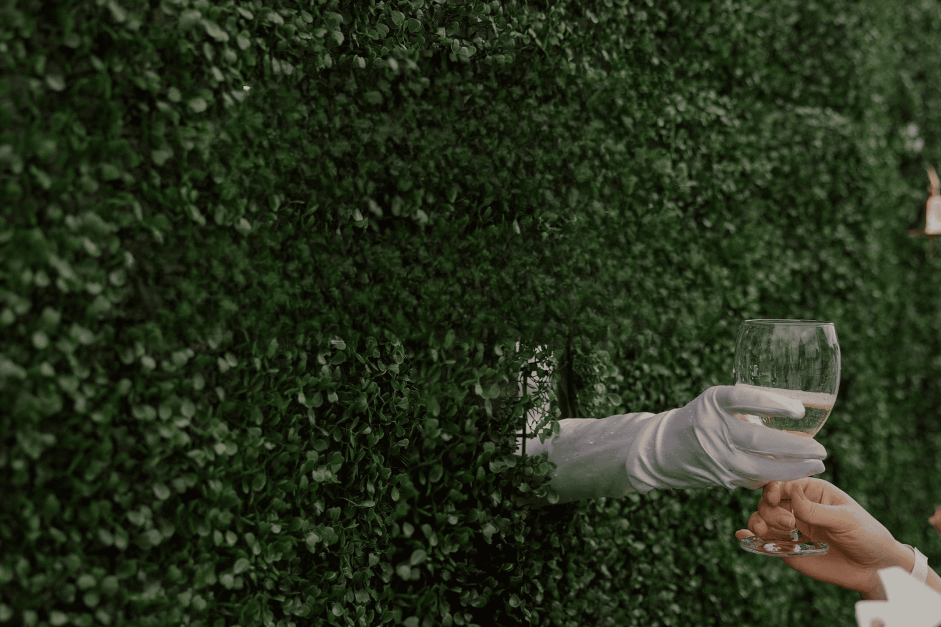 Вино на траве