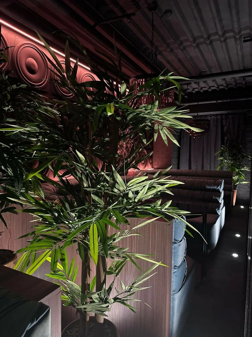 «ЗАРЯ» клубный бар