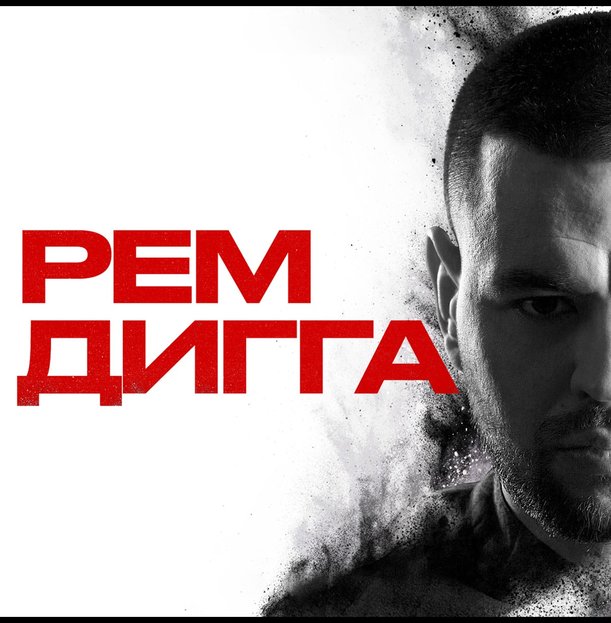 РемДигга